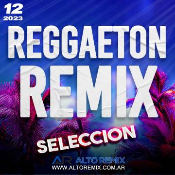 Reggaeton Remix - Descarga Directa